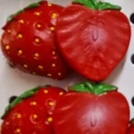 Strawberry Magnets