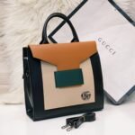 Gucci Black and Brown colour bag