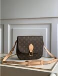 Louis Vuitton Brown colour Bag