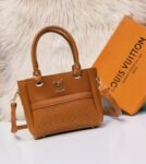 Louis Vuitton Brown colour Bag