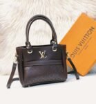 Louis Vuitton Dark Brown Bag