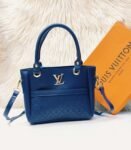 Louis Vuitton Blue Colour Bag